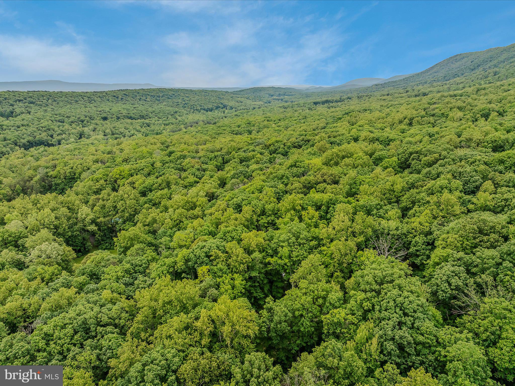 17 MOUNTAINSIDE LOOP