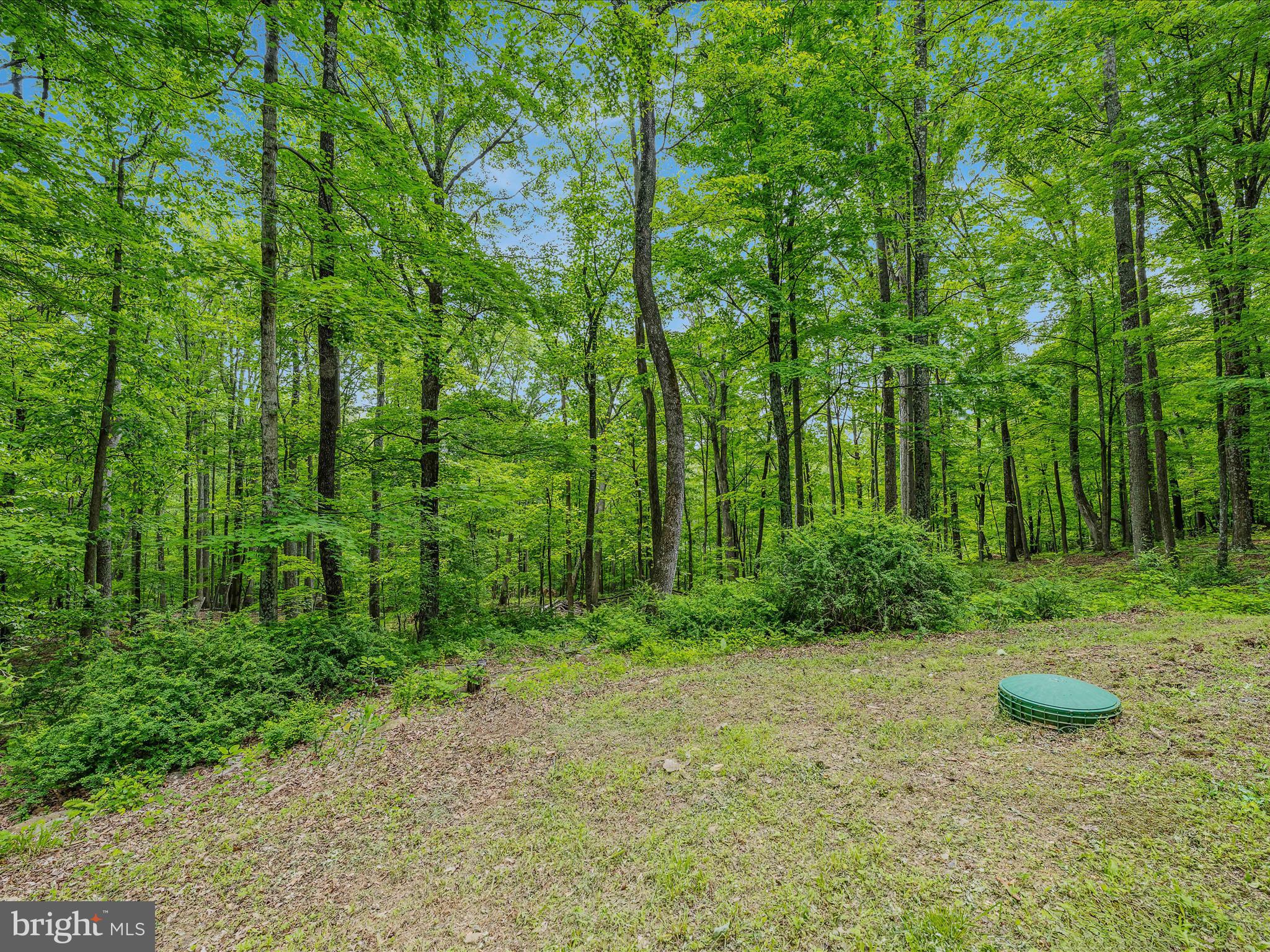 17 MOUNTAINSIDE LOOP