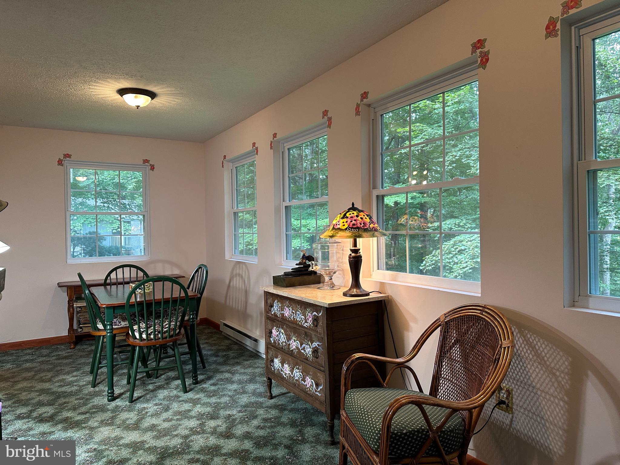 17 MOUNTAINSIDE LOOP