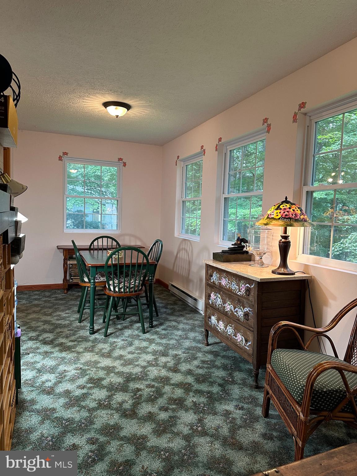 17 MOUNTAINSIDE LOOP