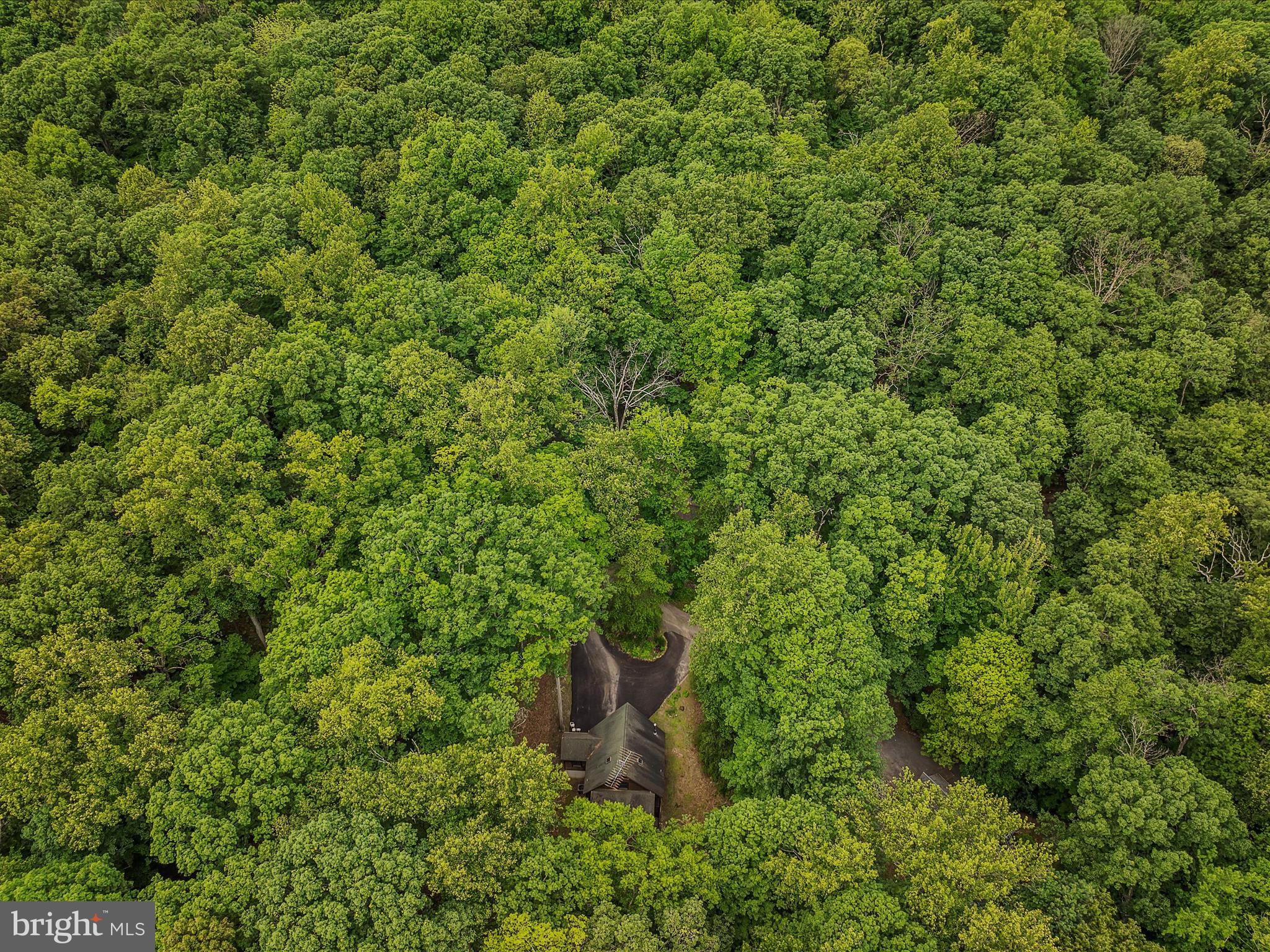 17 MOUNTAINSIDE LOOP