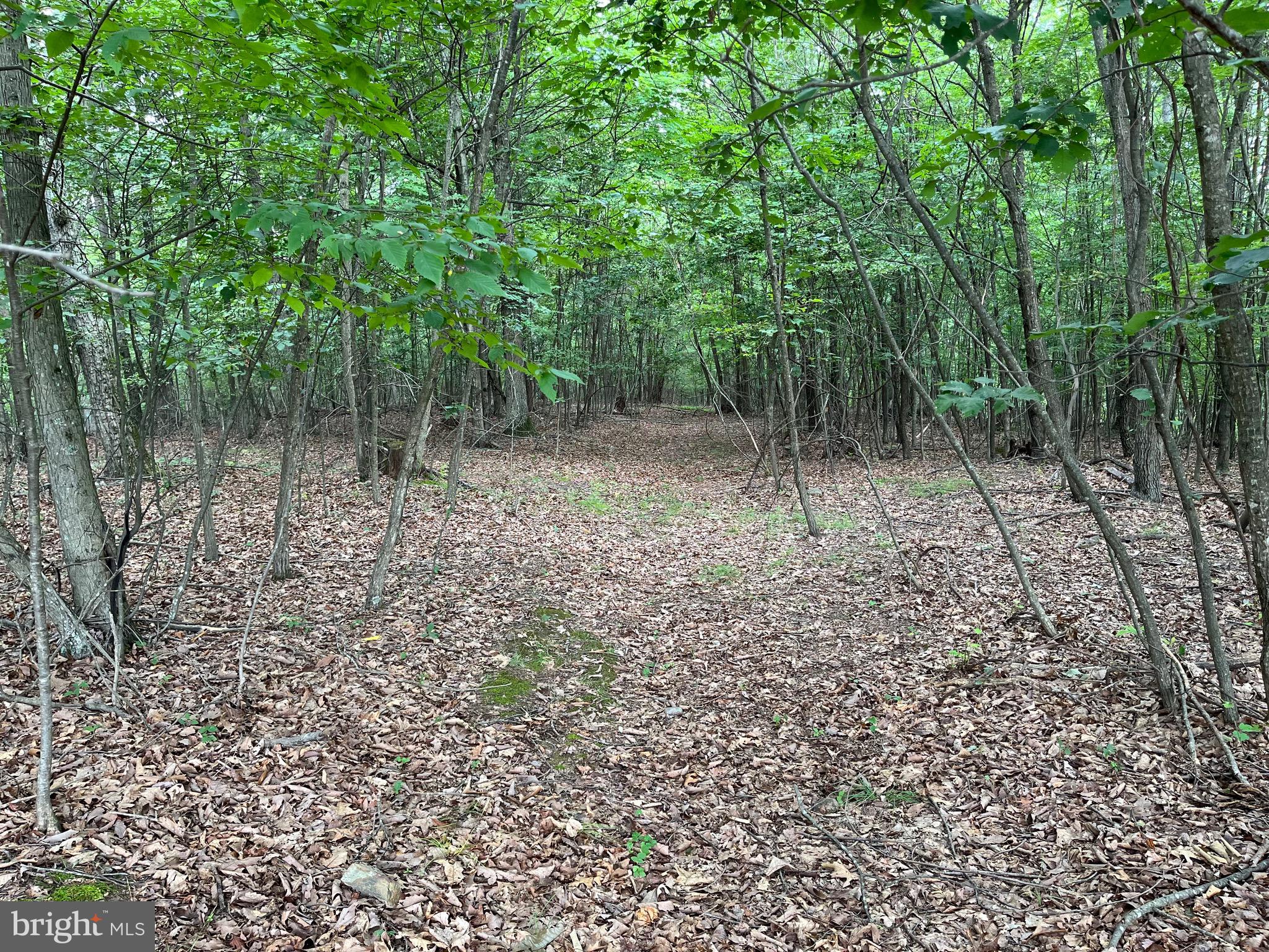 Fairview Oaks Way