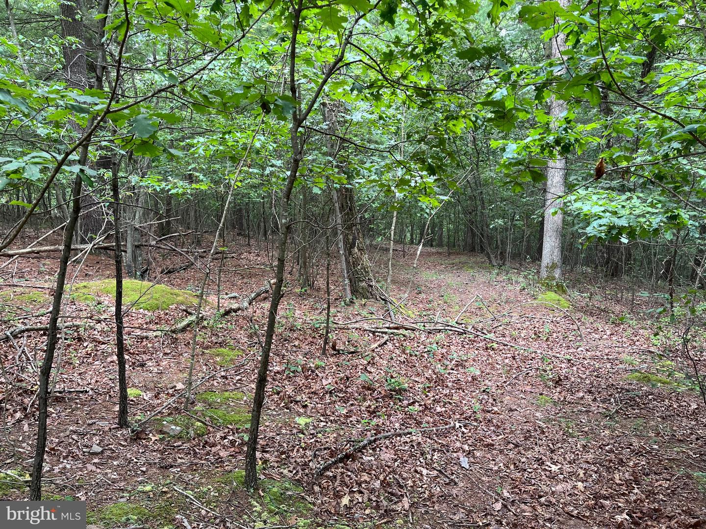 Fairview Oaks Way