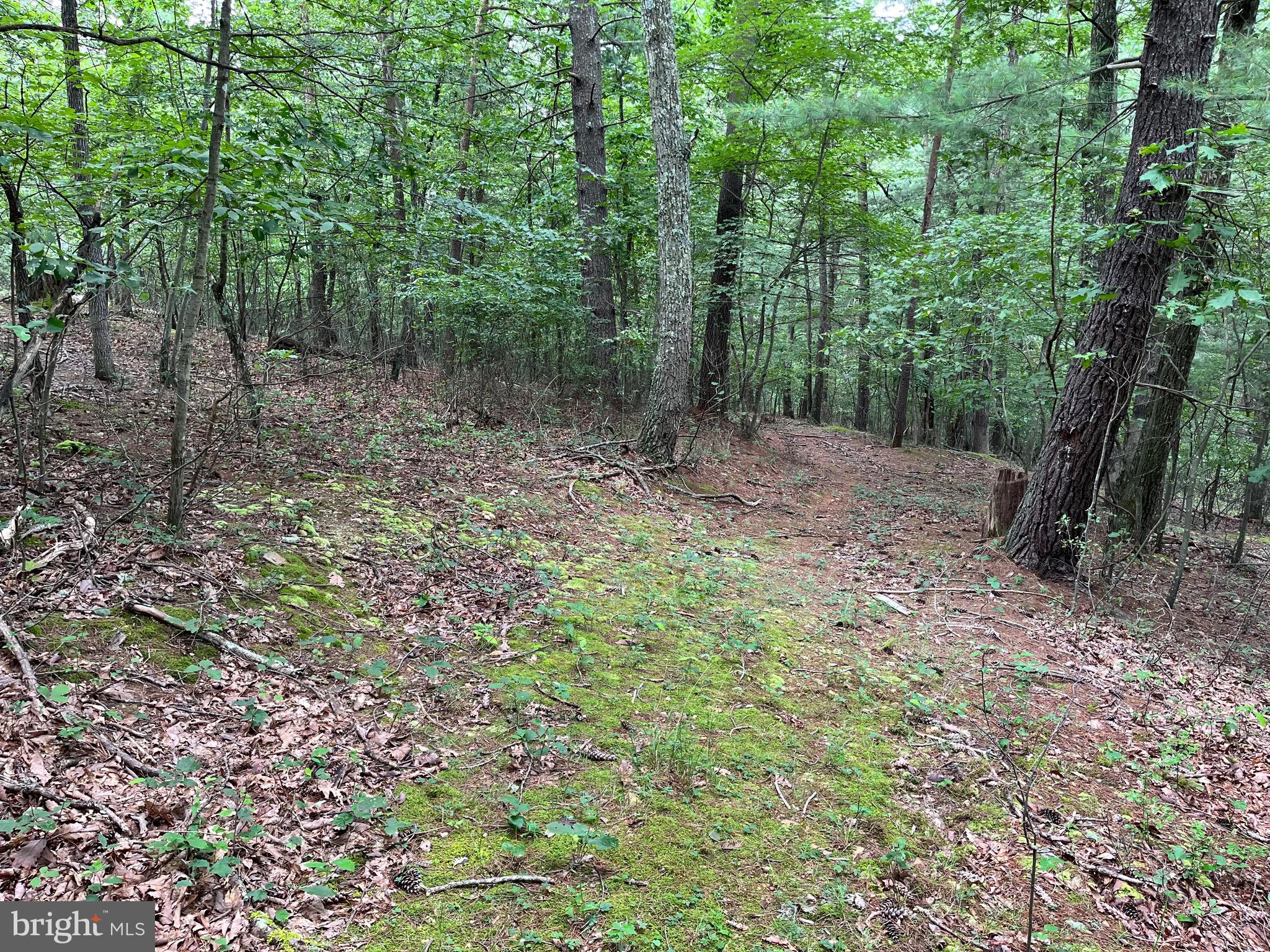 Fairview Oaks Way