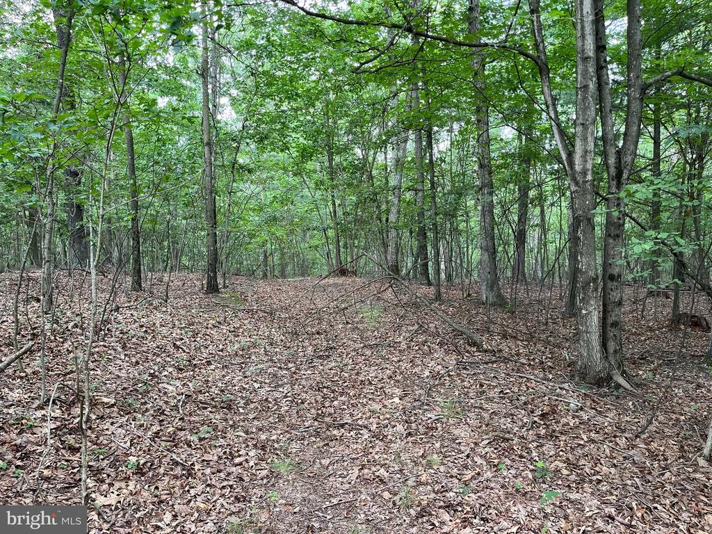 Fairview Oaks Way