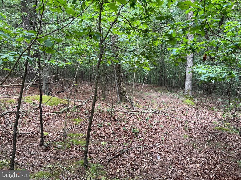 Fairview Oaks Way