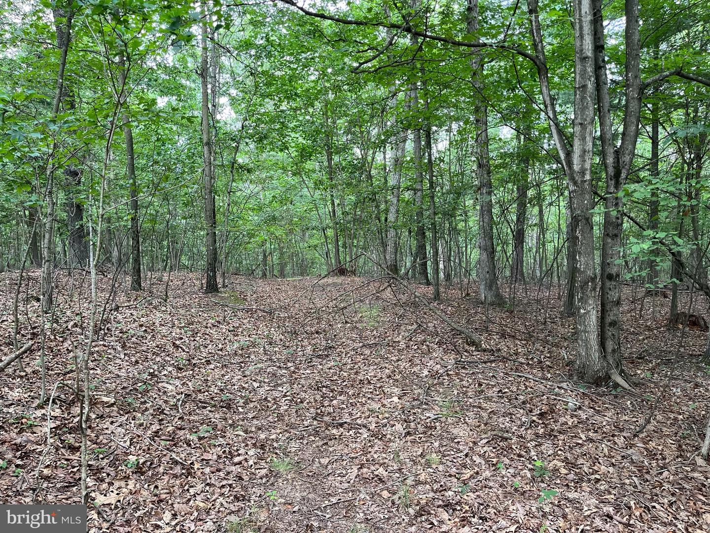Fairview Oaks Way