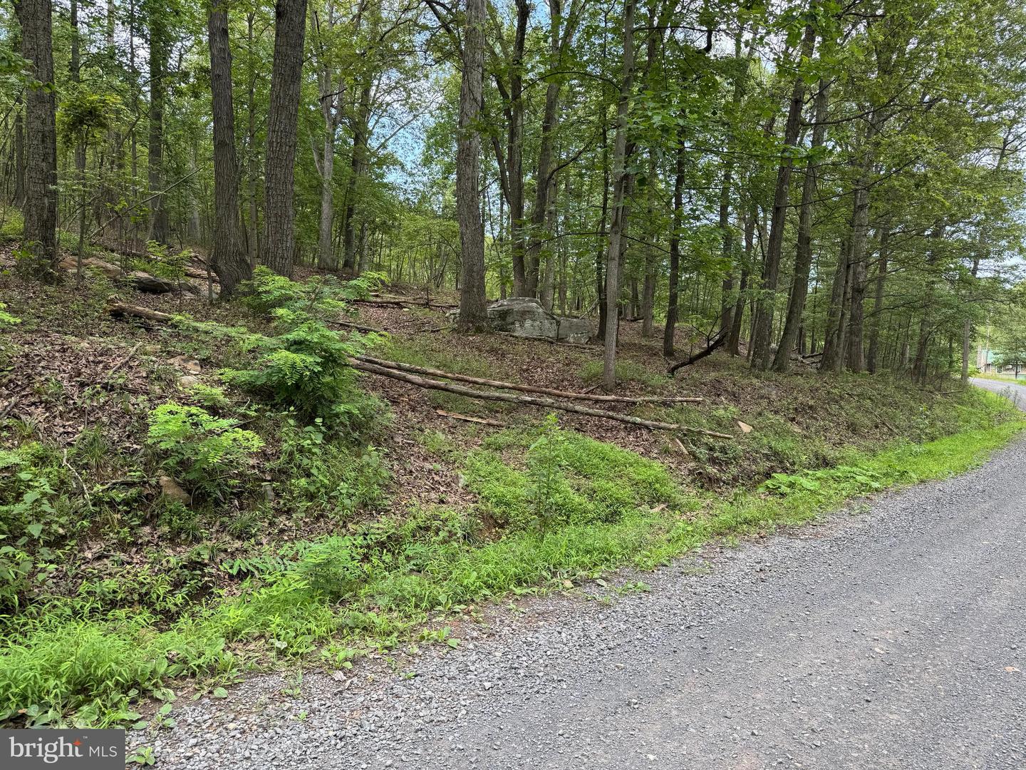 637 Seldom Seen Rd