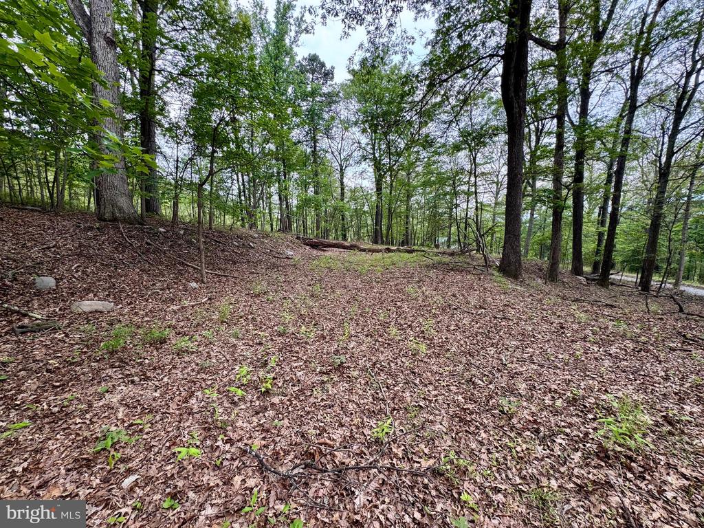 637 Seldom Seen Rd