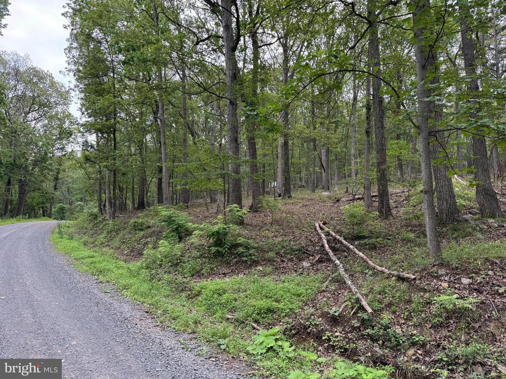 637 Seldom Seen Rd