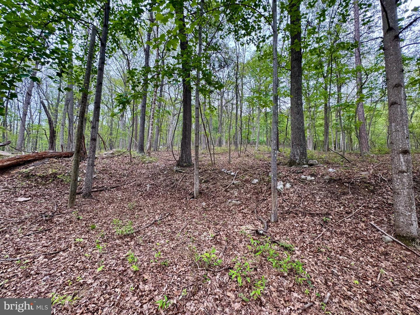 637 Seldom Seen Rd