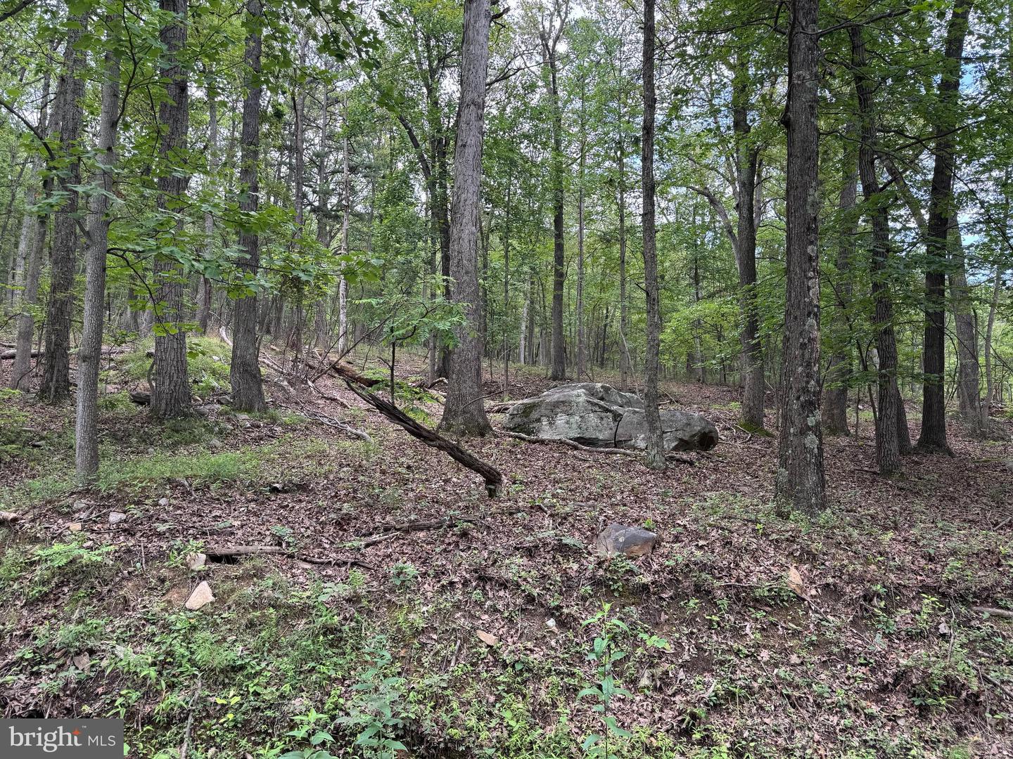 637 Seldom Seen Rd