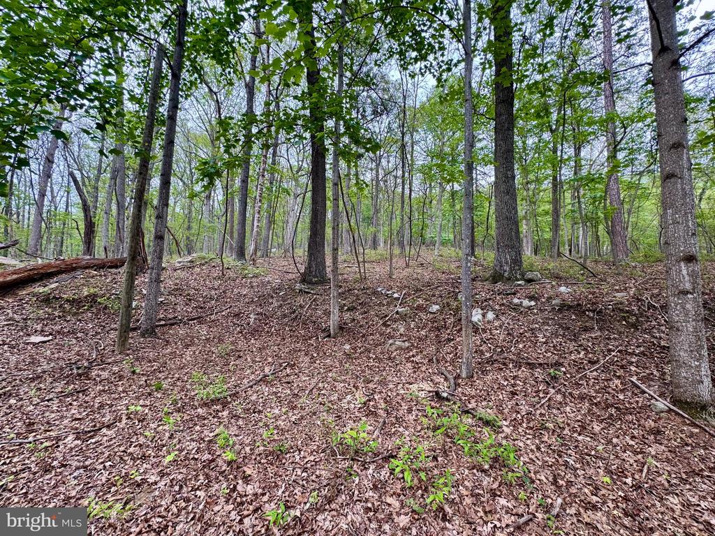 637 Seldom Seen Rd