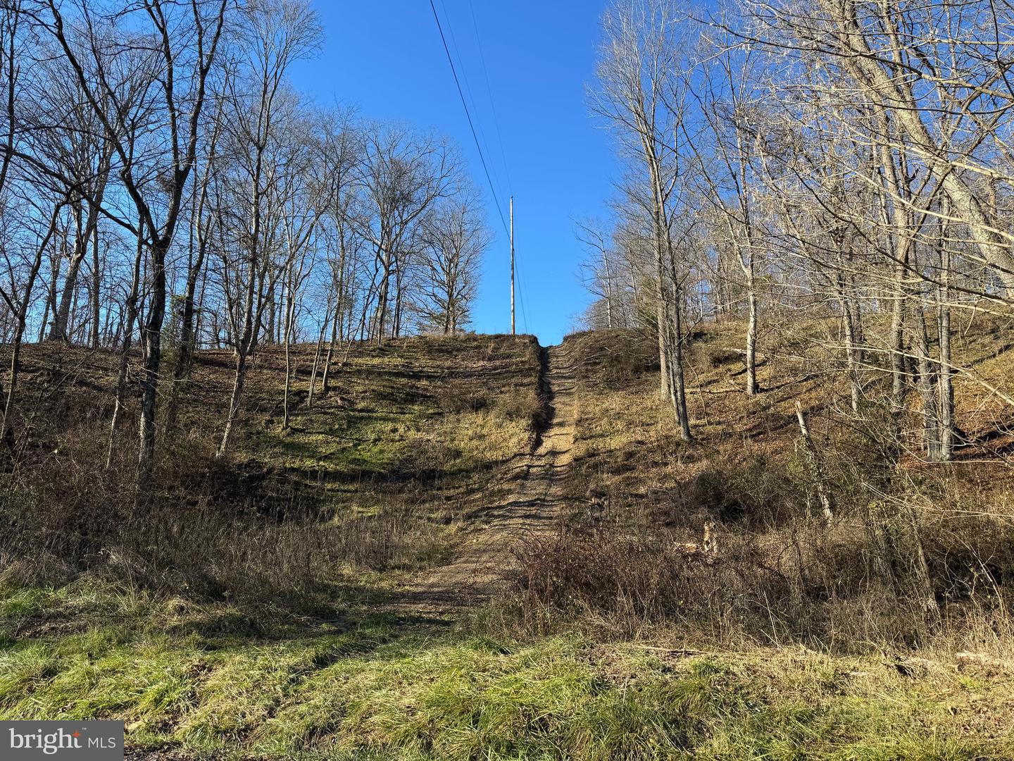 Magnolia Rd