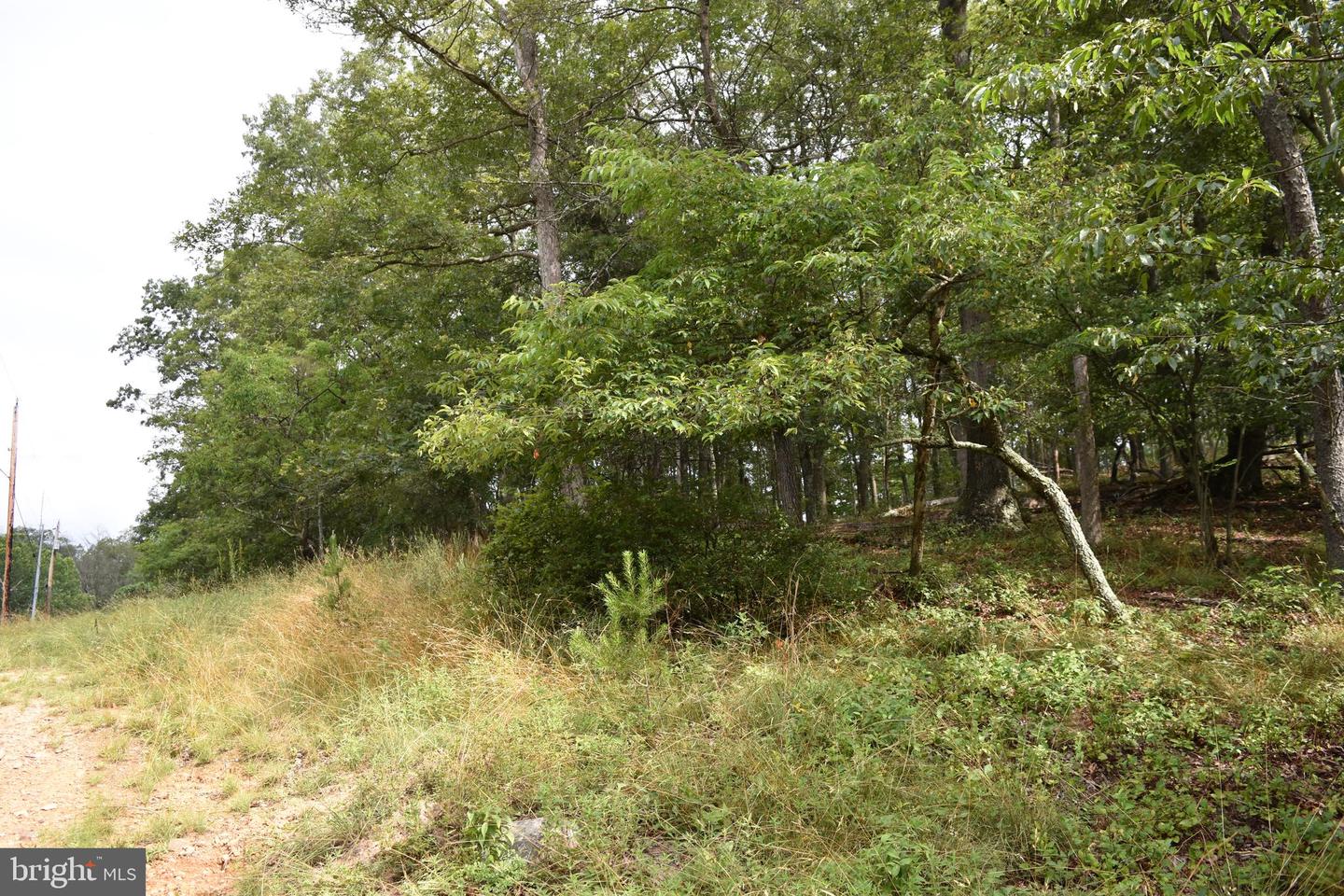Magnolia Rd