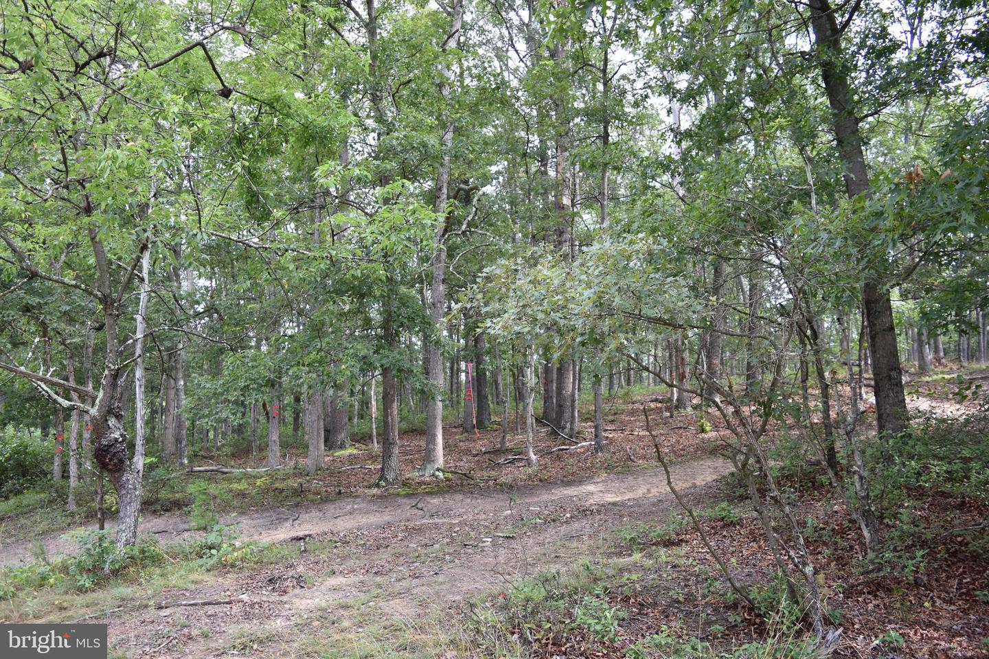 Magnolia Rd