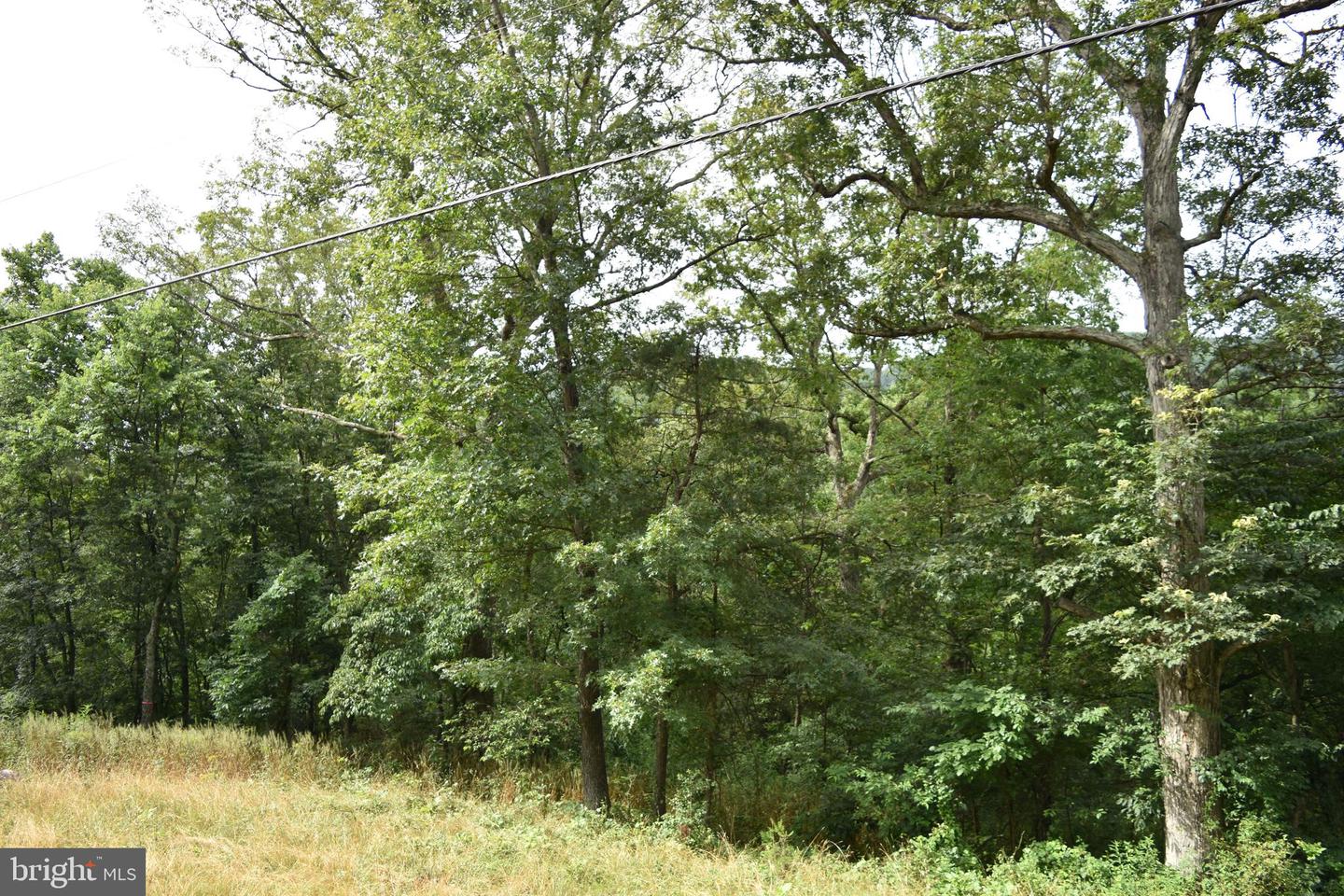 Magnolia Rd
