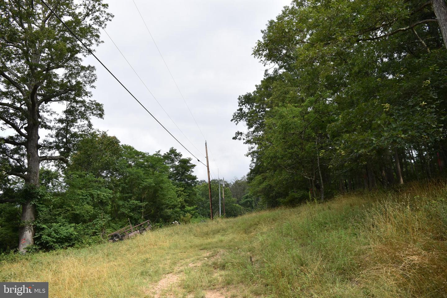 Magnolia Rd