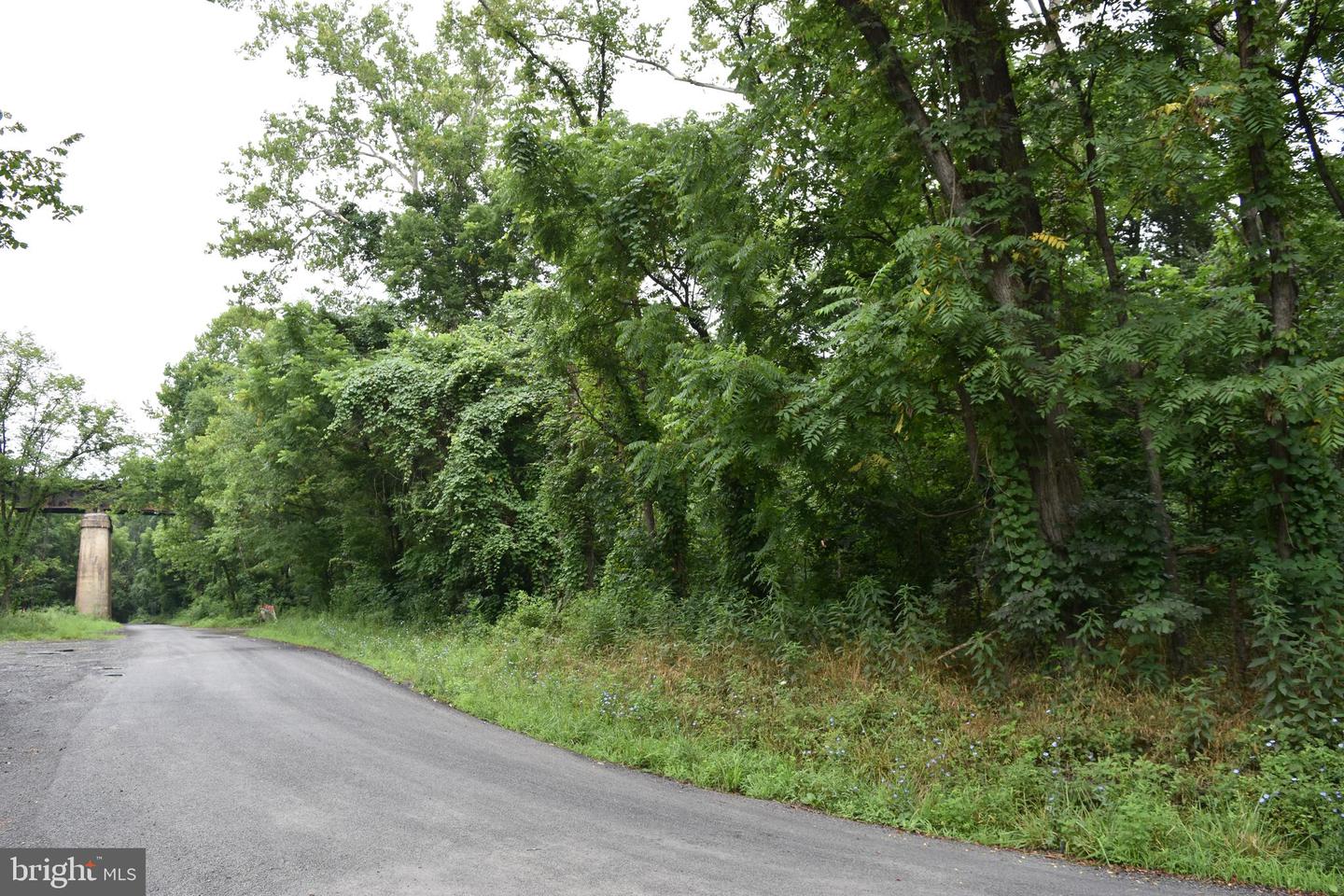 Magnolia Rd
