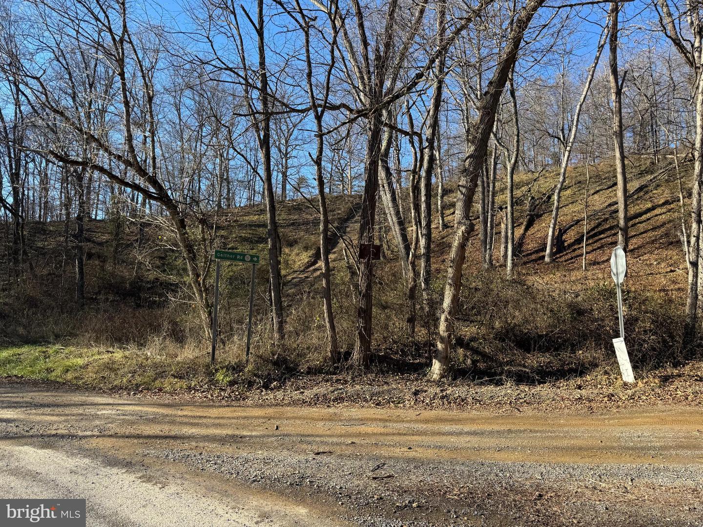 Magnolia Rd