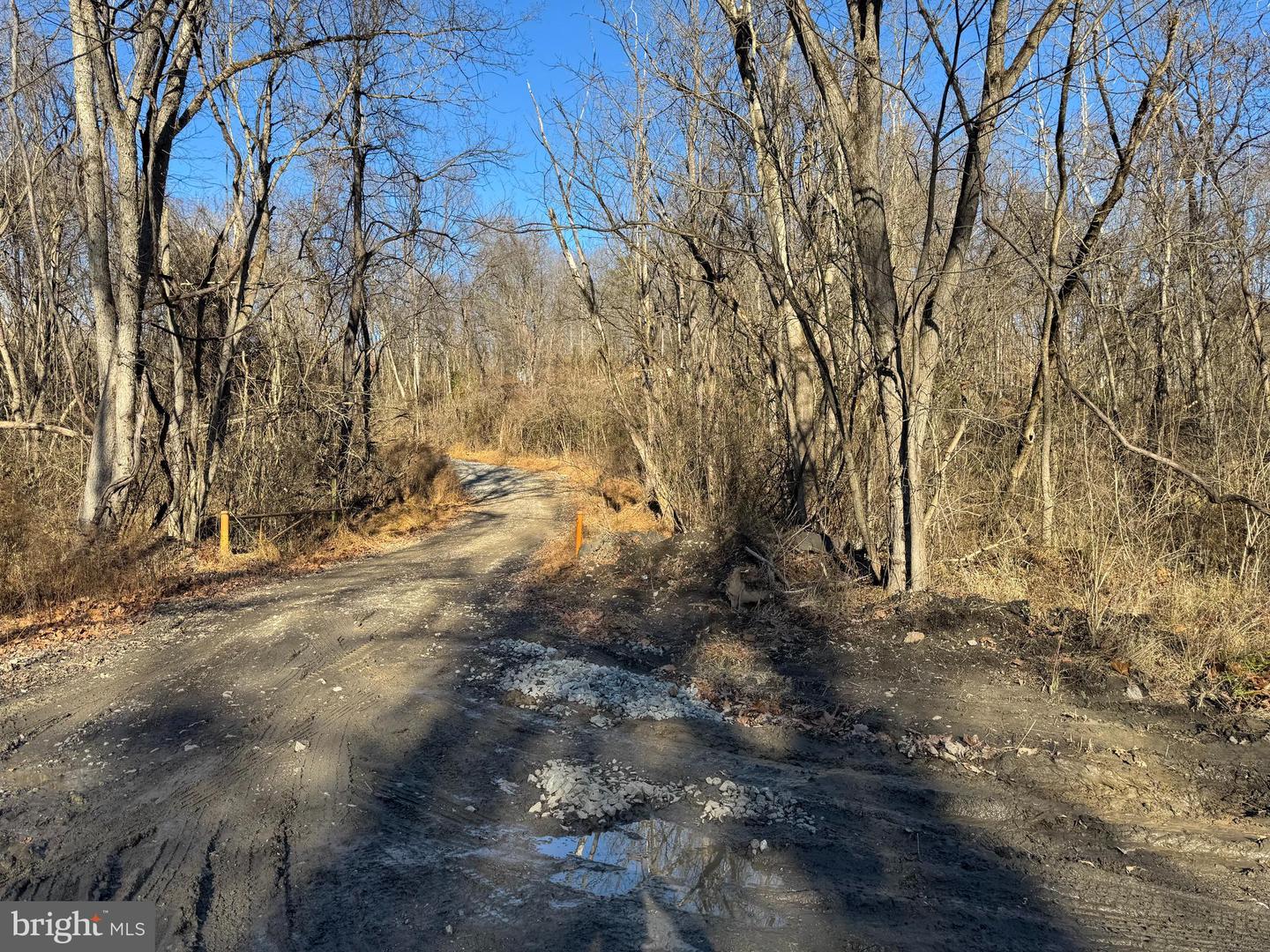 Magnolia Rd