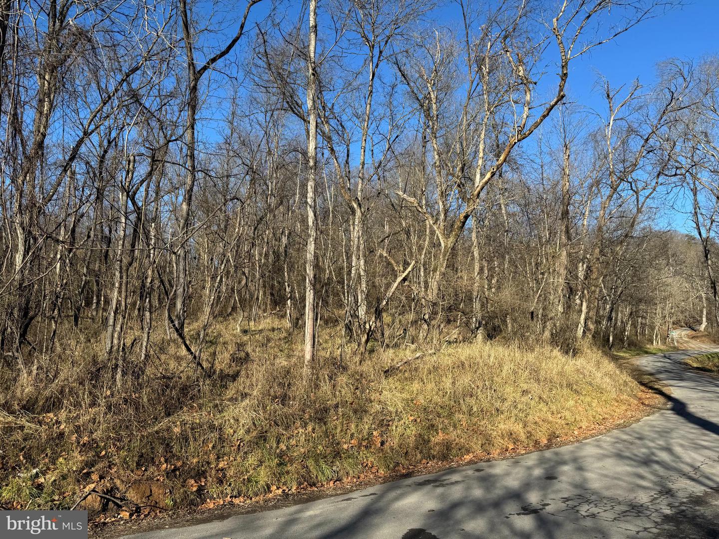Magnolia Rd