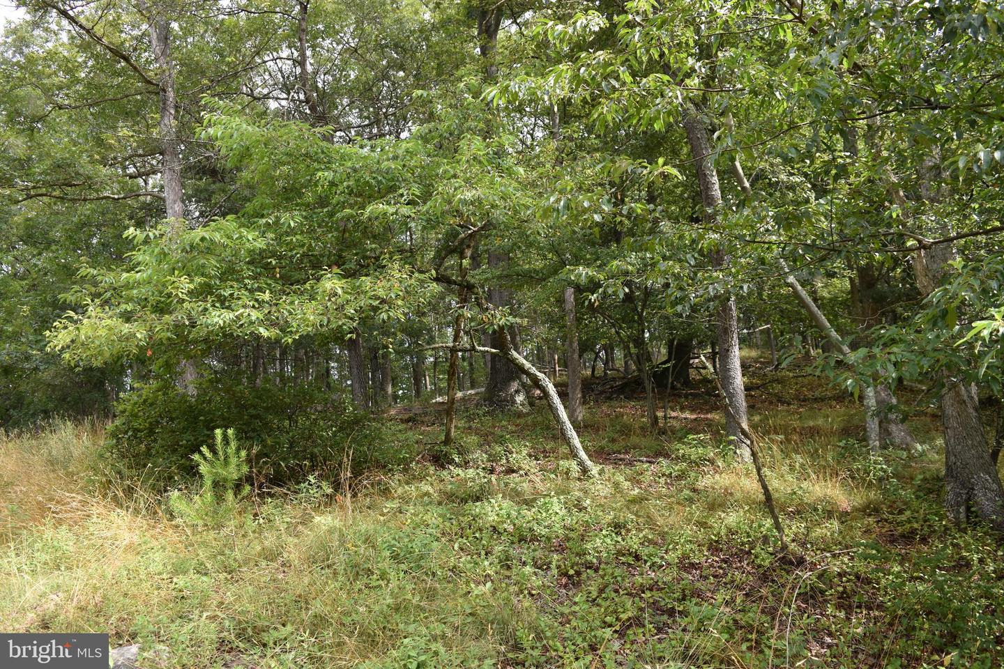 Magnolia Rd
