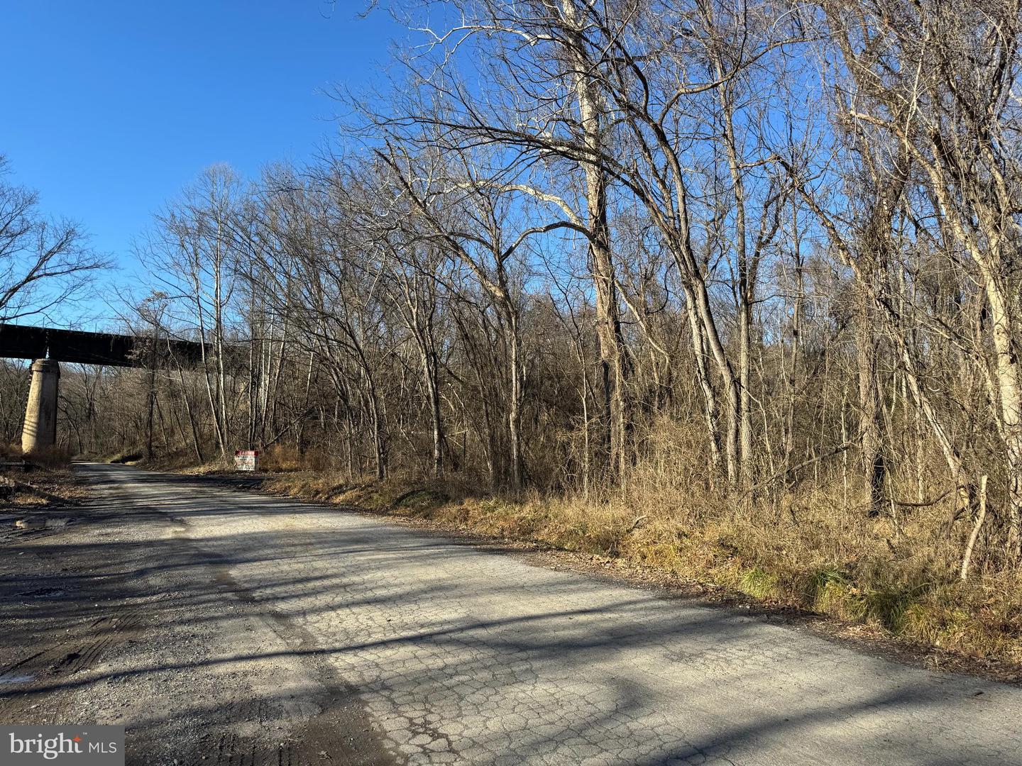 Magnolia Rd