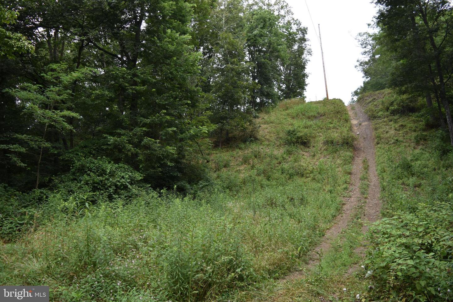Magnolia Rd