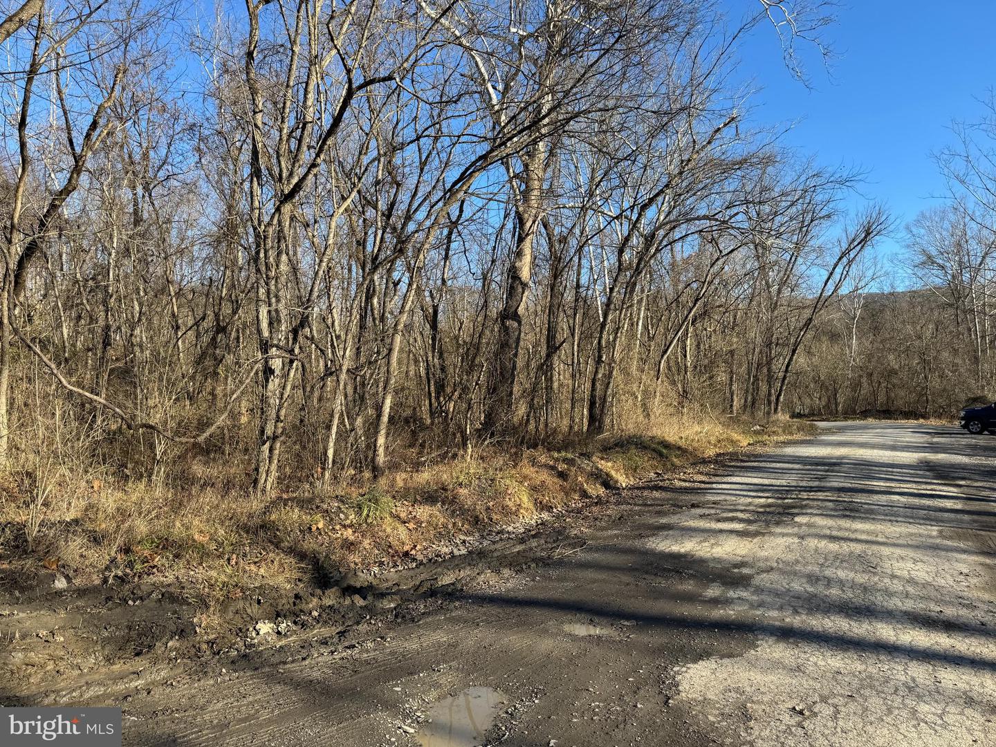 Magnolia Rd