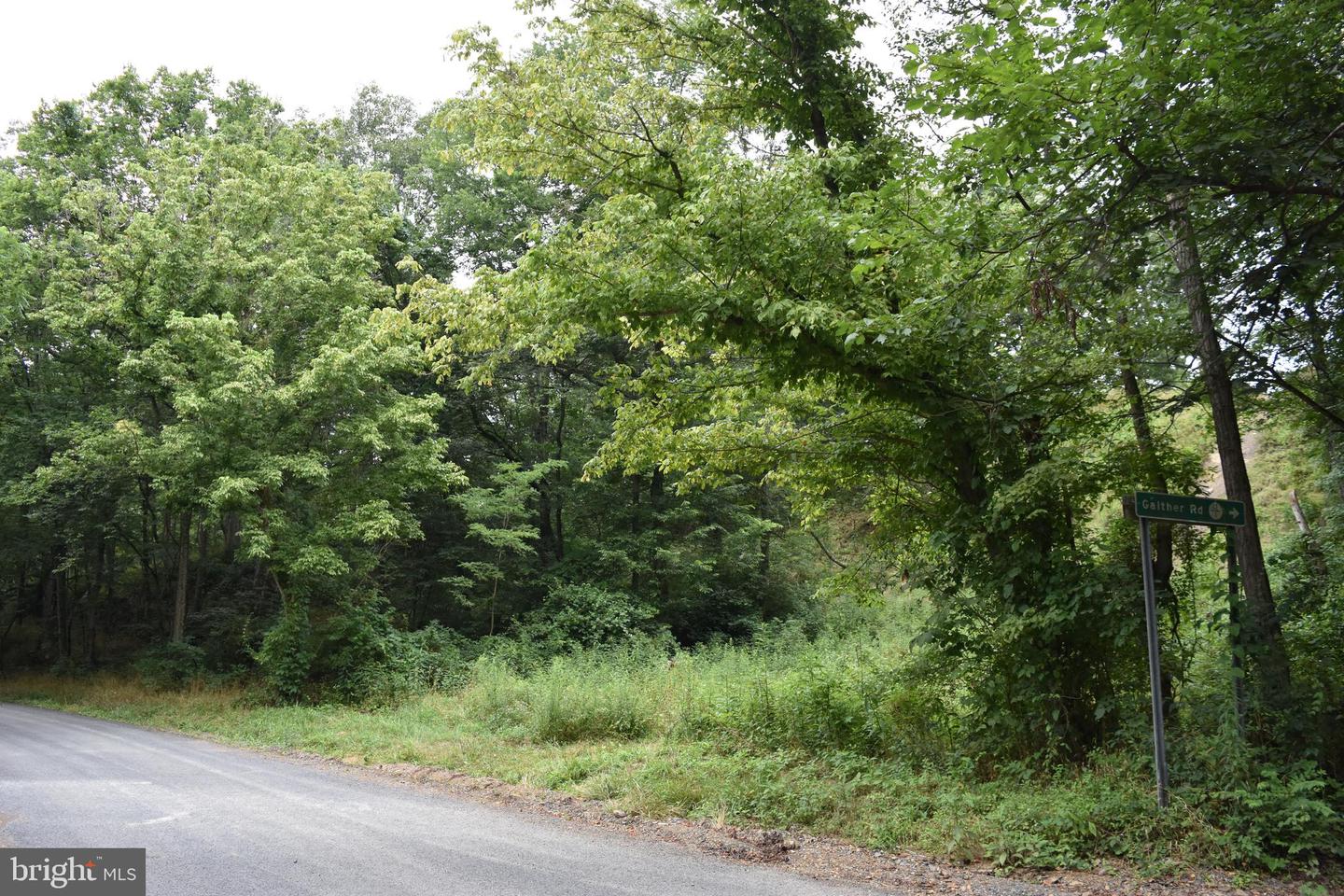Magnolia Rd