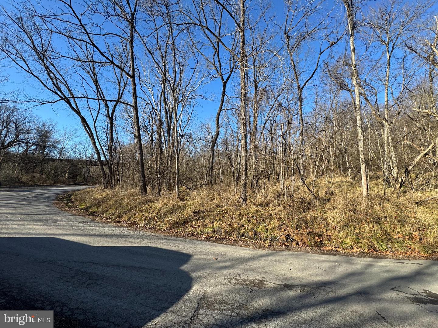 Magnolia Rd