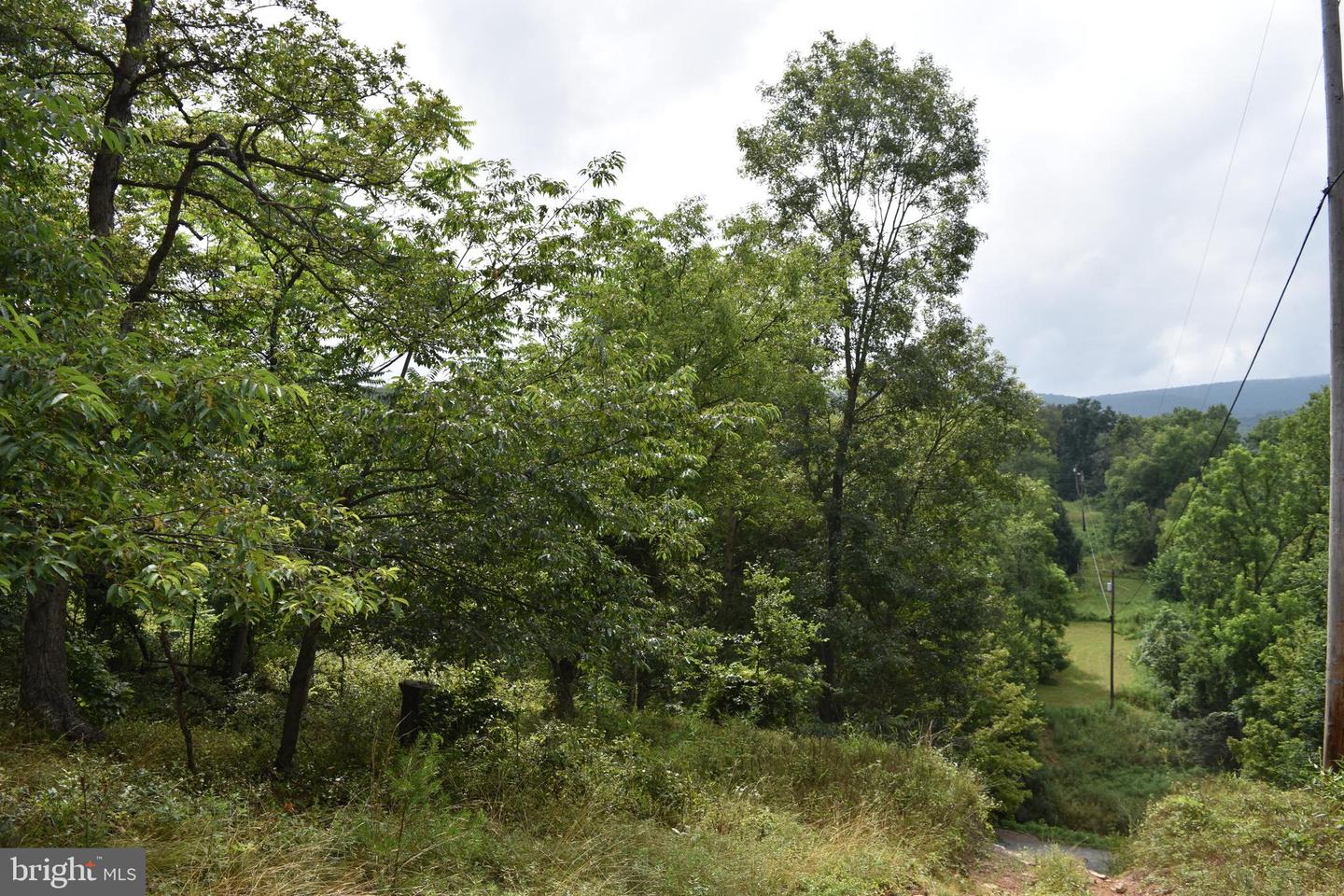 Magnolia Rd
