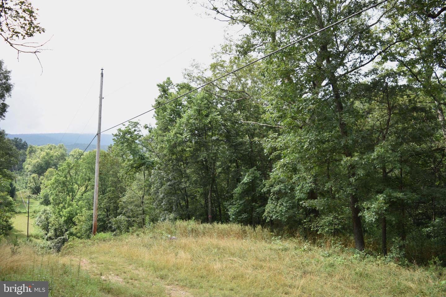 Magnolia Rd