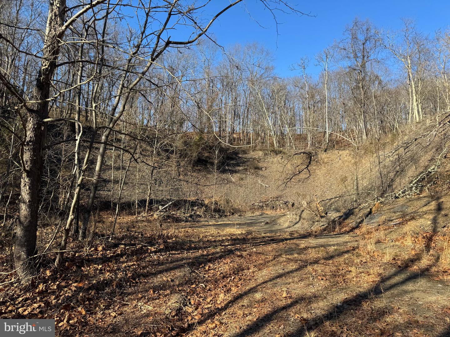 Magnolia Rd