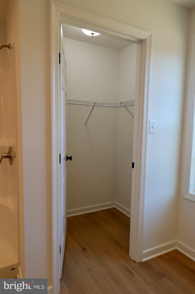 113 W SANTILLI TRAIL