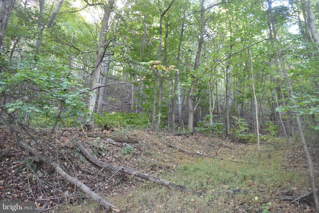 2083 CLAY PITS LANE