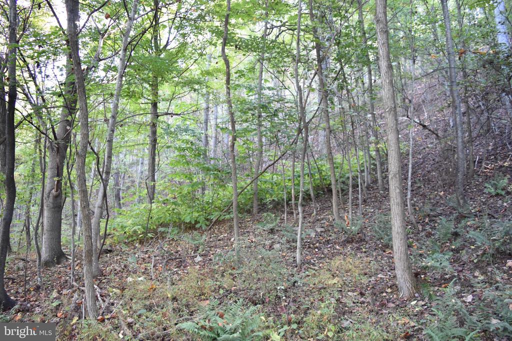 2083 CLAY PITS LANE