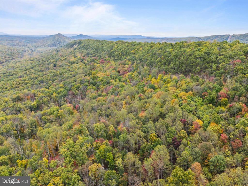 2083 CLAY PITS LANE