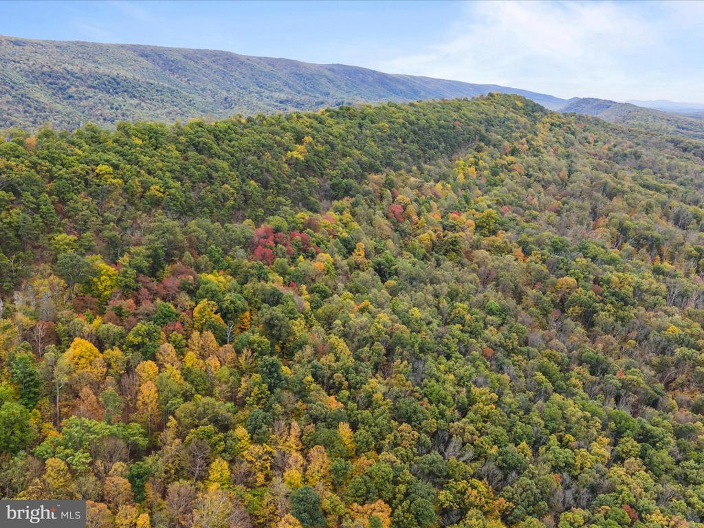 2083 CLAY PITS LANE