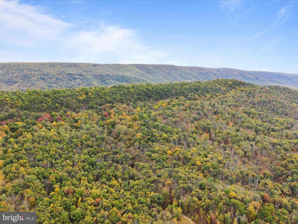 2083 CLAY PITS LANE