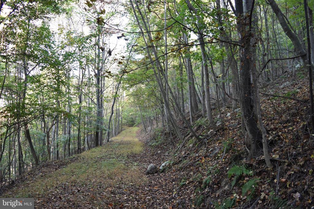 2083 CLAY PITS LANE