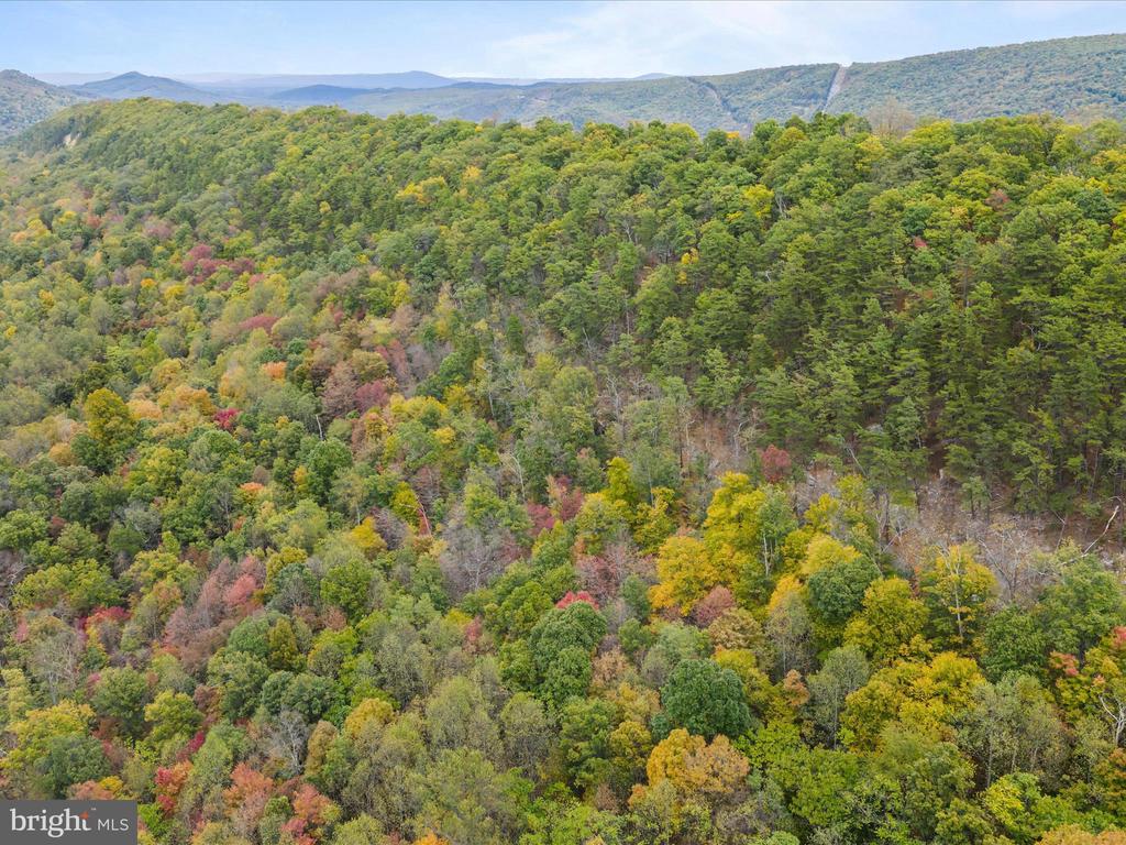 2083 CLAY PITS LANE
