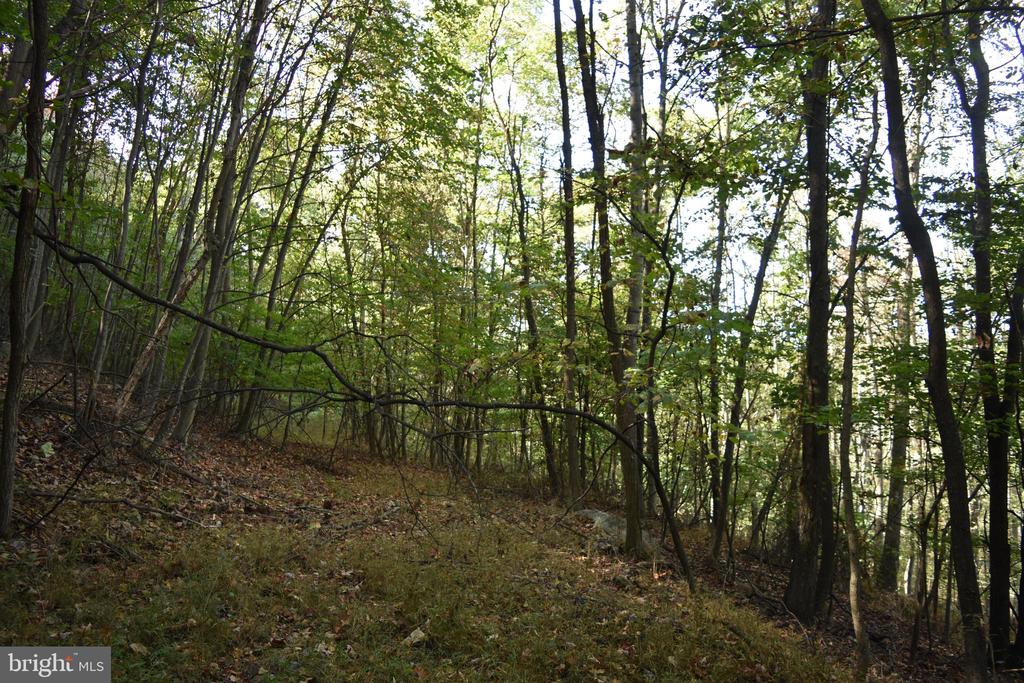 2083 CLAY PITS LANE