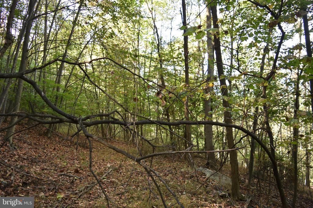 2083 CLAY PITS LANE