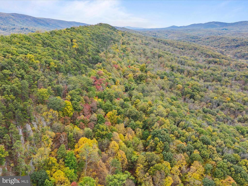 2083 CLAY PITS LANE