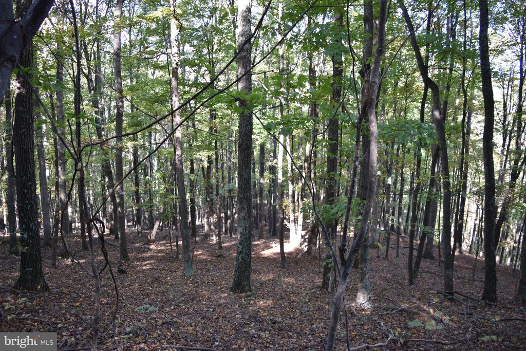 2083 CLAY PITS LANE