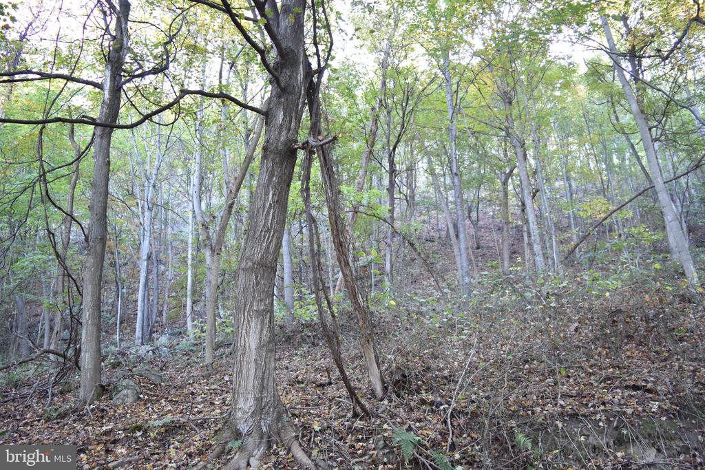 2083 CLAY PITS LANE