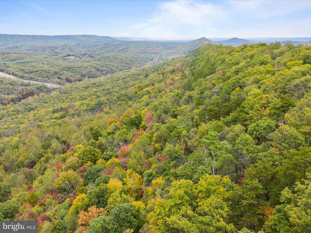 2083 CLAY PITS LANE