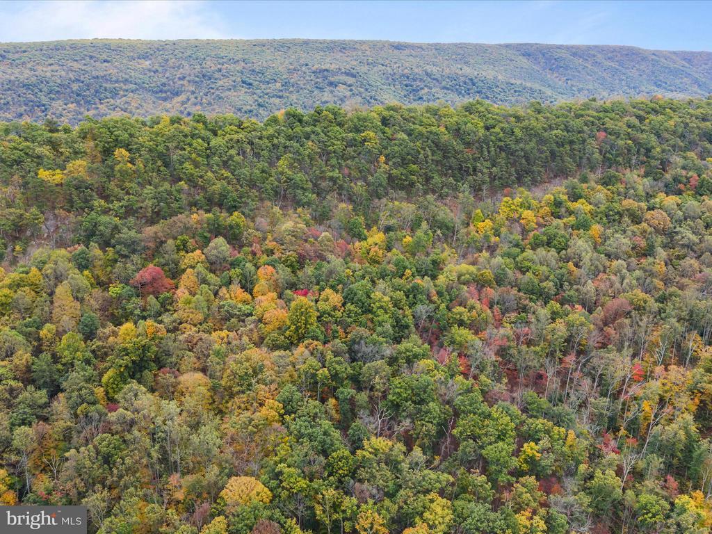 2083 CLAY PITS LANE
